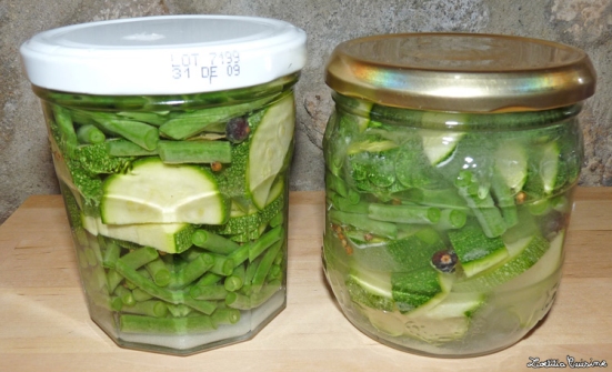Légumes lactofermentés avant fermentations
